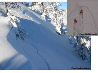 Illustration for article titled How To Survive An Avalanche From This Dramatic Video Of A Buried Skier
